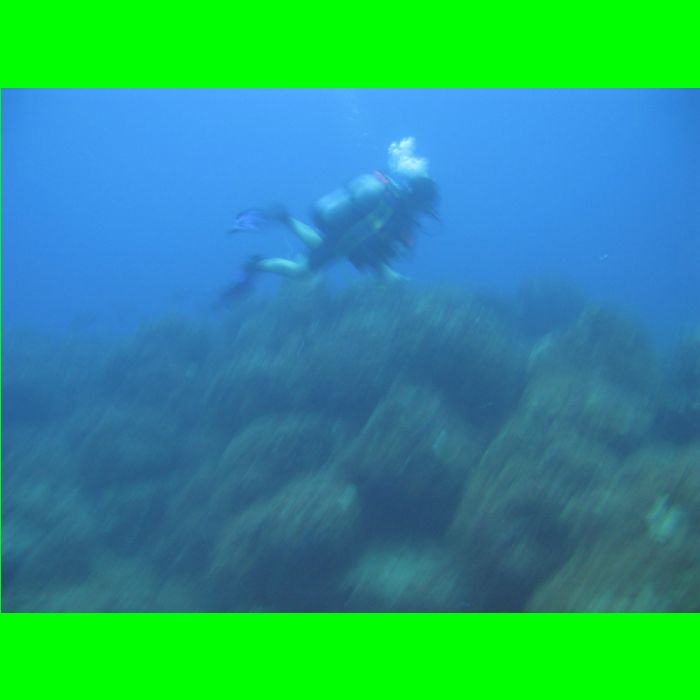 Dive WP Wrecks 25-Oct-09_276.JPG